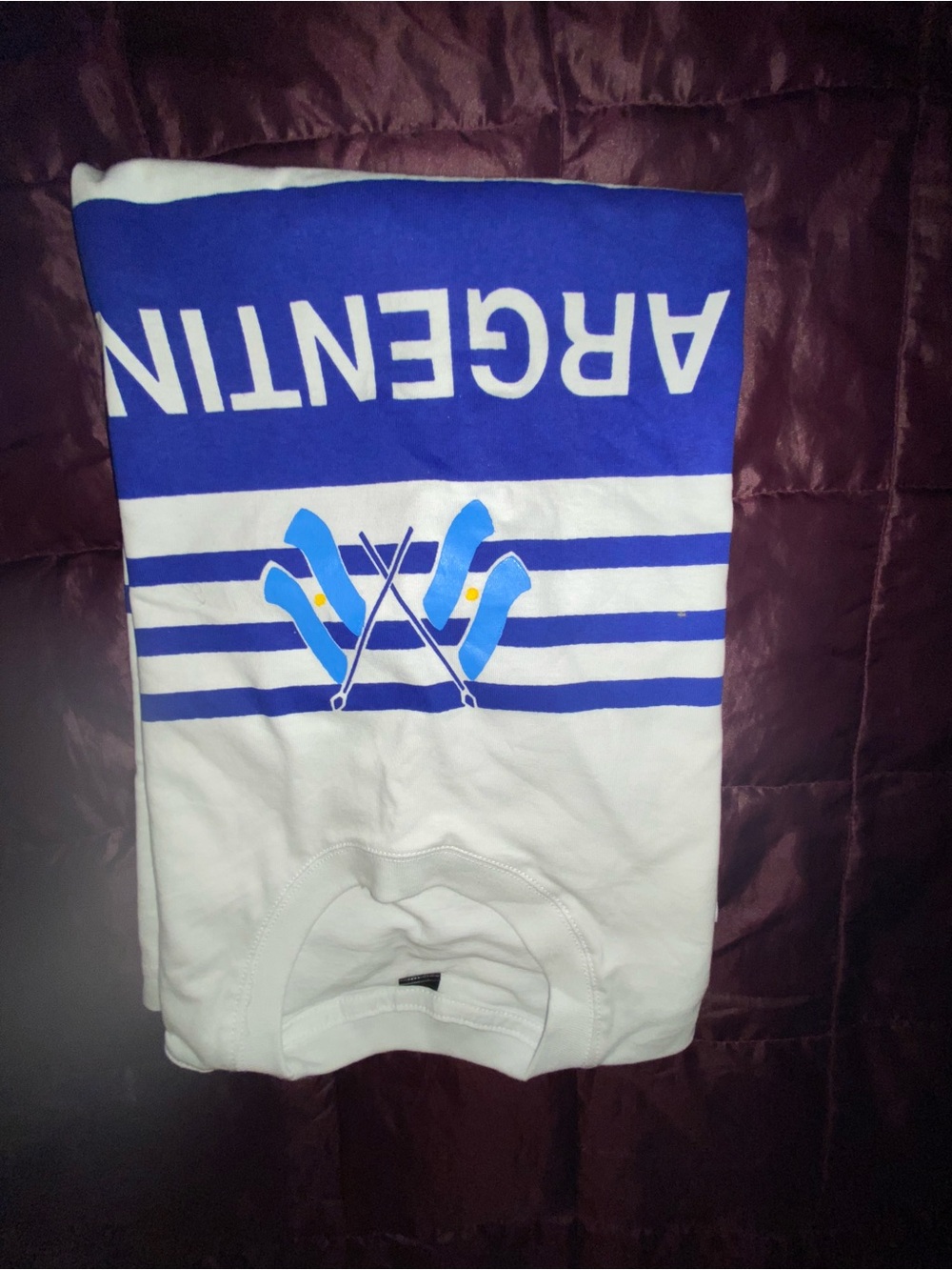 White Tee with Blue 'ARGENTINA' Graphic 2026 World Cup M